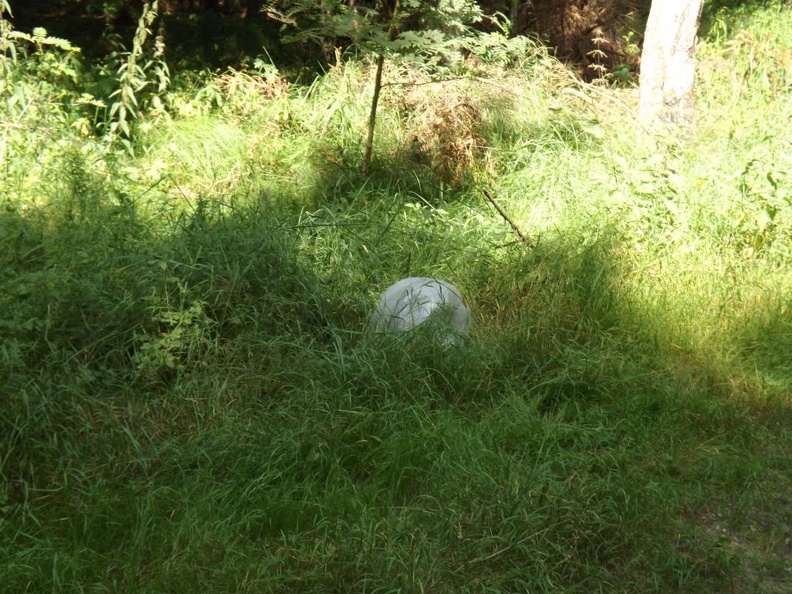 Stein auf dem Pfad der Erkenntnis.JPG